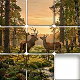 Photo Puzzle: Blocks