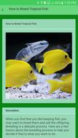 Tropical Fish Care Cartaz