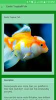 Tropical Fish Care imagem de tela 1