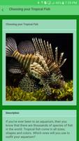 Tropical Fish Care imagem de tela 2