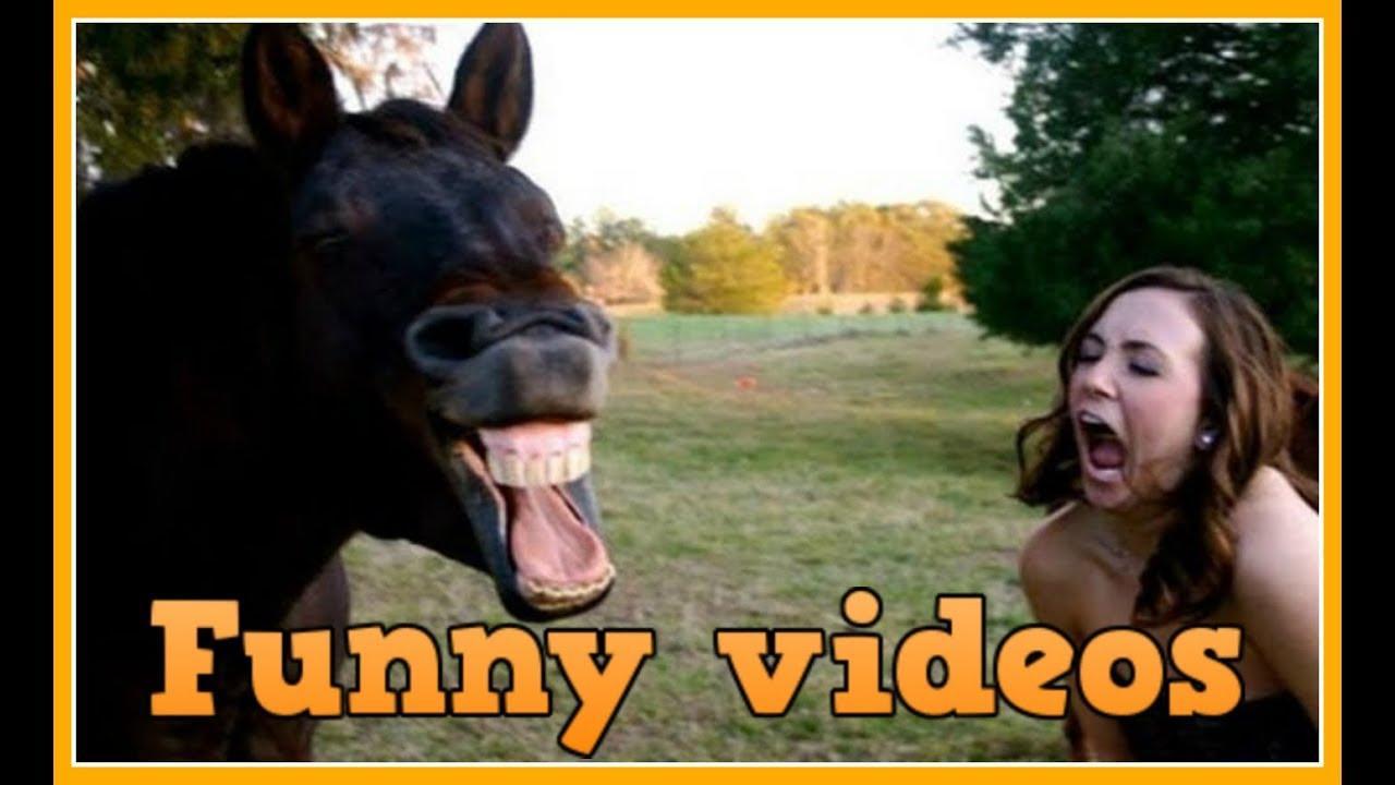7 Schermata Funny Videos.