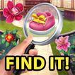 hidden Object : Bad And Good
