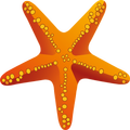 Beachcomber