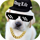 Thug Life Photo Editor 2021 APK