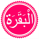 Surah Baqarah APK