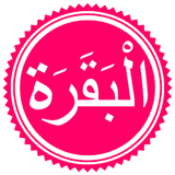 Surah Baqarah ikona