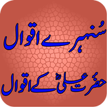 Hazrat Ali Kay Aqwal