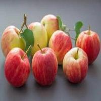 benefits of apple Affiche