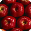 Apple HD Wallpaper-APK