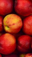 Apple HD Wallpaper Poster