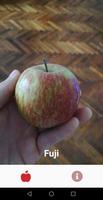 AppleClassify ポスター