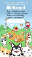 Hellopet постер