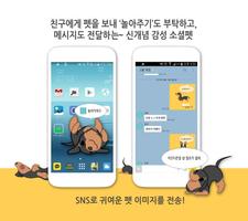 헬로펫 스크린샷 1