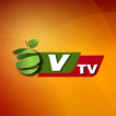 V Tv icon