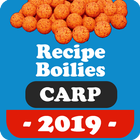 Recipe Boilie Carp icône