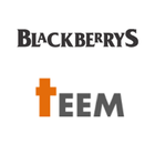 Blackberrys-TEEM ikona