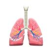Lung Loop icon