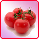 ﻿Tomato Recipes: Tomato soup, Tomato salad aplikacja