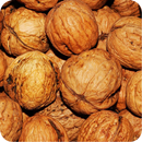 Walnut Recipes: Walnut bread, Walnut cake APK