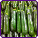 ﻿Zucchini Recipes: Zucchini noodle, Zucchini bread aplikacja