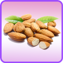 Almond Recipes: Almond bread, Almond meal aplikacja