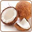 Coconut Recipes: Coconut milk, Coconut cake APK