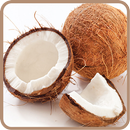 ﻿Coconut Recipes: Coconut milk, Coconut cake APK