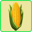Corn Recipes: Corn salad, Corn bread APK