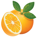 Orange Recipes: Orange dessert, Orange breakfast APK