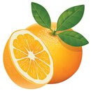 ﻿Orange Recipes: Orange dessert, Orange breakfast APK