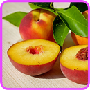 ﻿Peach Recipes: Peach cake, Peach pie aplikacja