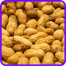 ﻿Peanut Recipes: Peanut butter recipes APK