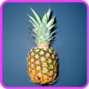 Pineapple Recipes: Pineapple smoothie, chicken APK