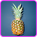﻿Pineapple Recipes: Pineapple smoothie, chicken APK