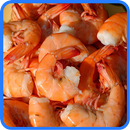 Shrimp Recipes: Shrimp dinner, Shrimp salad APK