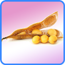 ﻿Soybean Recipes: Soybean diet, Soybean pasta APK