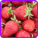 Strawberry Recipe: Strawberry jam, Strawberry pie APK