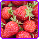 ﻿Strawberry Recipe: Strawberry jam, Strawberry pie APK