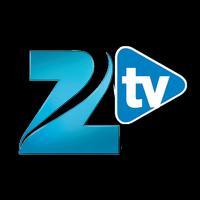 TV ZLTV Poster