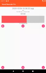 Sound Recorder Pro XAPK download