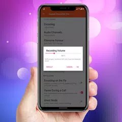 Sound Recorder Pro XAPK download