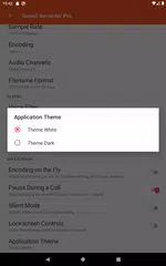 Sound Recorder Pro XAPK download