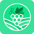 Nashik Travel Guide icon