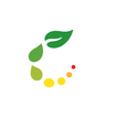 Pace Digital Beta App 아이콘