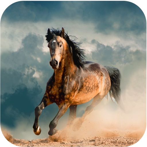 Horse Wallpapers
