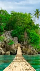 自然壁纸 APK 下載