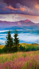 自然壁纸 APK 下載