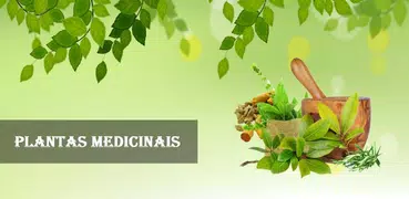 Plantas Medicinais e seus usos