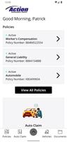Action Insurance Group screenshot 1