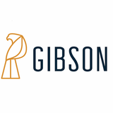 Gibson: My Edge icon